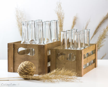 Set of 6 Bottles and Wooden Crate/ Rustic Wedding Drinking Glasses Alternative/ Bar Decor