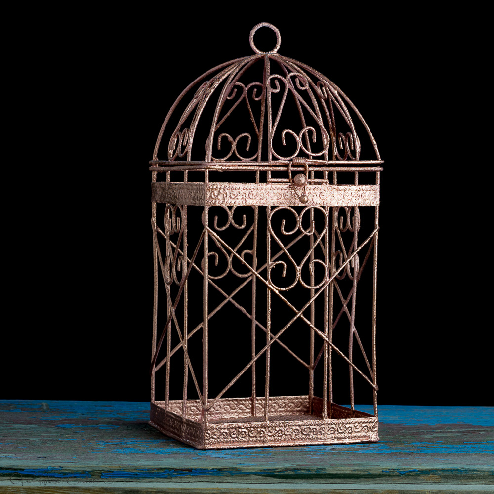 Round Birdcages Vintage Decorative Iron Bird cage Wedding Decor
