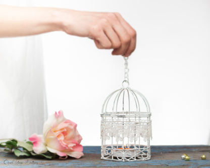 Bridesmaids Gifts - Pink Wedding Wire Bird Cages Set of 2
